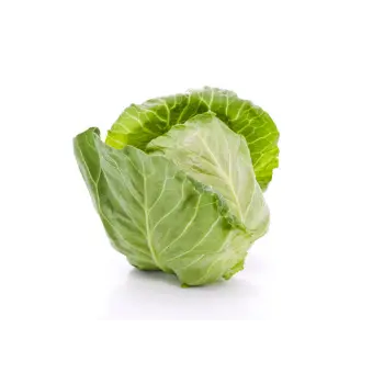 cabbage (5)-2594596-17649.webp